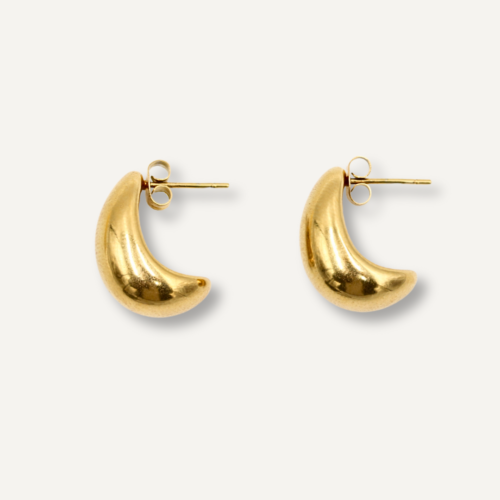 Curved Drop Earrings